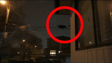 Kevin Witnesses Flying Reindeer!