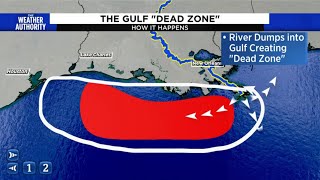 Scientists are monitoring a Dead Zone in the Gulf of Mexico.