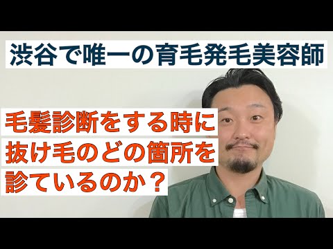 【３分で分かる】毛髪診断をする時に抜け毛のどの箇所を診ているのか？