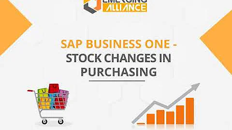 SAP B1   STOCK CHANGES IN PURCHASING