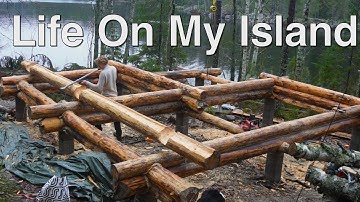 Island Life With My Dog, Building a Log Cabin