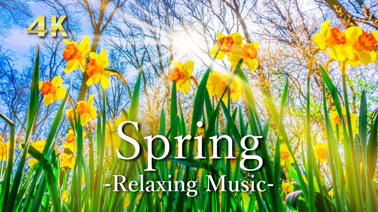 春の大自然・4K絶景映像【リラックスピアノ音楽】綺麗な景色と花々｜Spring UHD