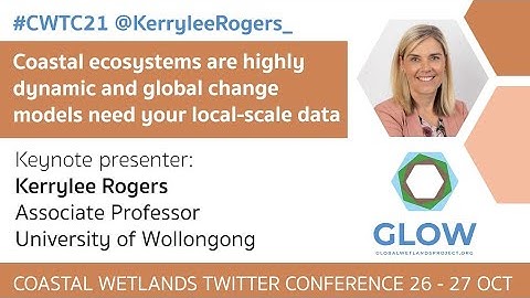 Coastal ecosystems are highly dynamic and global change models need your local-scale data #CWTC21