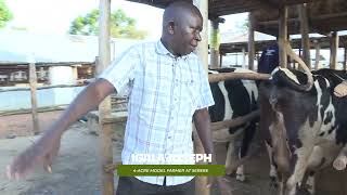 He Lost His Job, Then Built a 600M Farm | Mr. Ijala’s 4-Acre Model Success Story