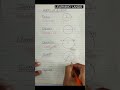 Circle  parts of a circle  radius  diameter  chord  sector  segment circle radius maths