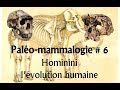 Palomammalogie 6 hominini lvolution humaine