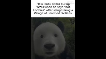 How I look at bro during WW3 When he says bot lobbies