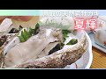 【４K　天然岩ガキ　夏輝】鳥取市グルメ　「海のミルク」と称されるイワガキ天然岩ガキ　夏輝　はレモンを搾って豪快に食べる生食が最高。　市場と飲食店　まとめ