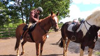 Riding in Windsor Great Park on Buzz