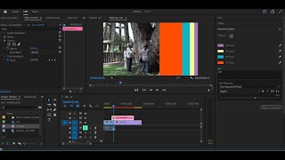 EssentialGraphics - After Effects & Premiere Pro