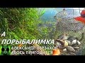 Отчет о рыбалке. Река Тузлов под Новочеркасском.