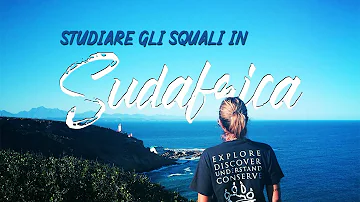 Cosa fare con Biologia Marina?