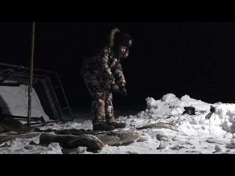 С Артемом на проверку. Перемет реабилитировался или новичкам везет))