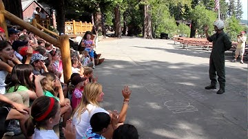 Capture the Flag.MOV