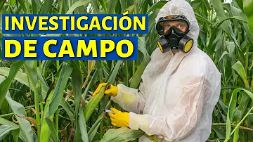 ¿Cuáles son los componentes de una investigación de campo?