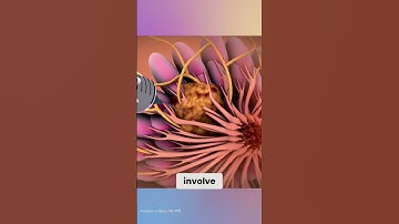 Cancer Biomarker Testing: Knowledge is Power