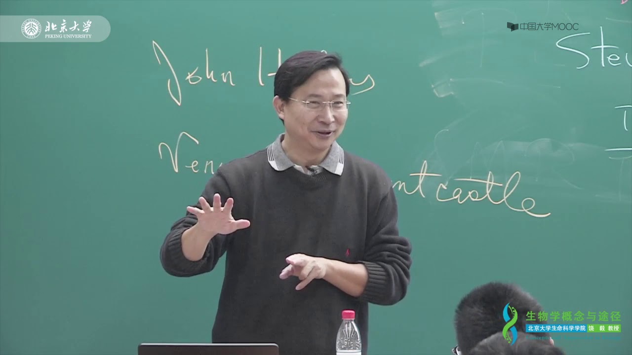 7 4视觉的整合——视觉功能柱、复杂加工视皮层细胞、视皮层发育 - YouTube