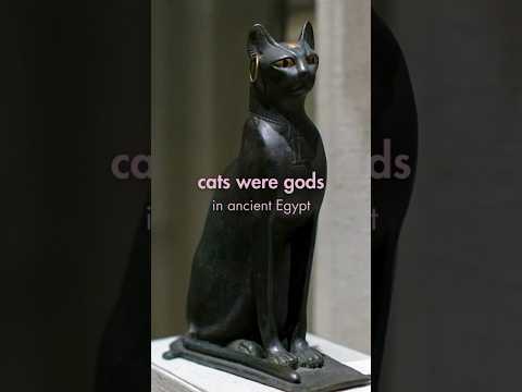Ancient Egyptian bronze cat 🐈‍⬛ #archaeology #history #cats #ancientegypt #ancient
