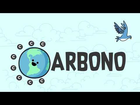 Video: ¿Cuál es el papel del carbono en la diversidad molecular de la vida?