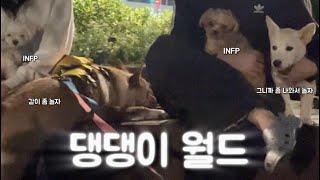 사회생활 시작한 하찮은 INFP 아기강아지