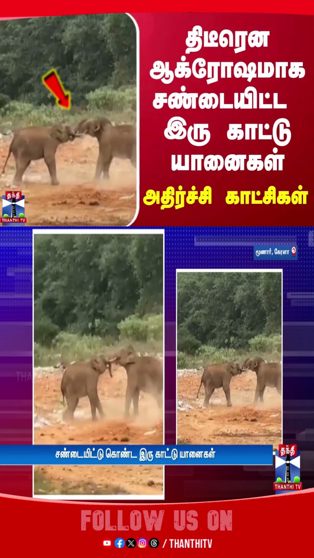 திடீரென ஆக்ரோஷமாக சண்டையிட்ட இரு காட்டு யானைகள் - அதிர்ச்சி காட்சிகள்