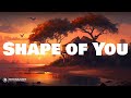 Ed sheeran  shape of you  lyrics  let her go  passenger