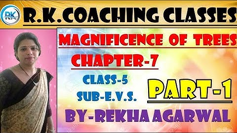 RBSE:CBSE|Class 5th |E.V.S. |Chapter 7 :-"MAGNIFICENCE OF TREES" PART 1