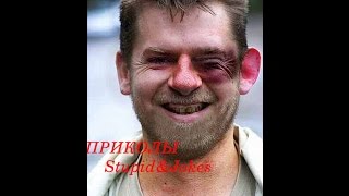 Приколы видео подборки за сентябрь 2015 Новые Свежие Лучшие Приколы видео подборки за сентябрь 2015 Новые Свежие Лучшие