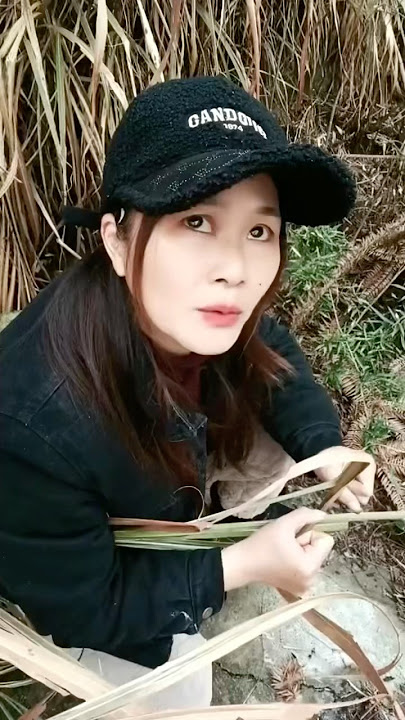 Mastran burung lucu viral kocak ngakak meme funny memes moments humor birds