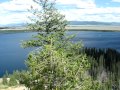 Inspiration Point - Grand Teton National Park by Tapobrata Bandyopadhyay