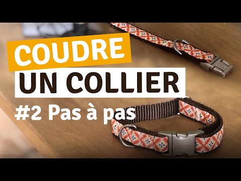 Vidéo: Comment faire un collier de chien en tissu réglable