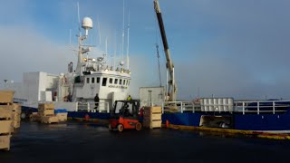 Longline fishing Iceland 2019