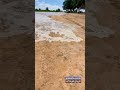 جريان وادي الرمة للمره الثانيه خلال عام واحد ووصوله للمنطقة بين البدائع وعنيزة الخميس ١٤٤٤ ٩ ٢٩هـ 