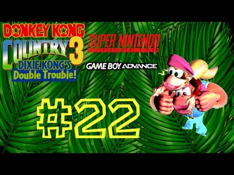 コング　【3】 SUPER DONKEY KONG 3 Nintendo SFC Super Famicom Japan Import