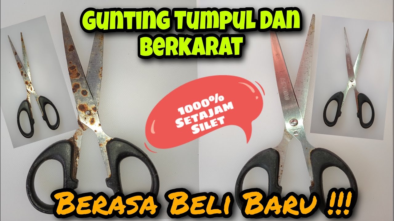 Cara Menajamkan Gunting Dan Pisau Yang Tumpul Plus Berkarat⁉️Gak Perlu