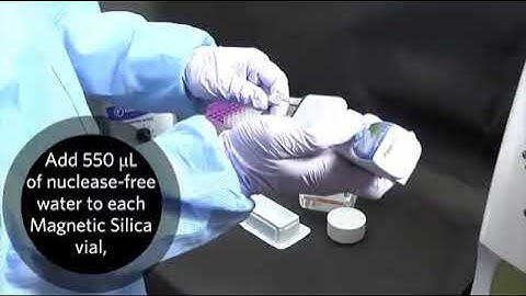 xTAG® GPP nucliSENS® EasyMag® Extraction