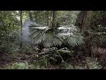 Build a beautiful hut by the stream  2 years of survival in the rainforest  episode 2