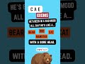 C1 CAE IDIOMS | ENGLISH