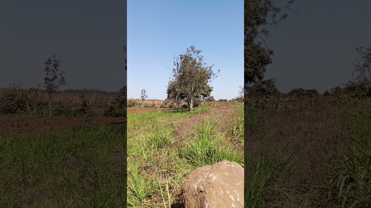 1⁄8 AC Plot Sale Limuru Nyatarangi Area 4th Row From Maimahiu Highway