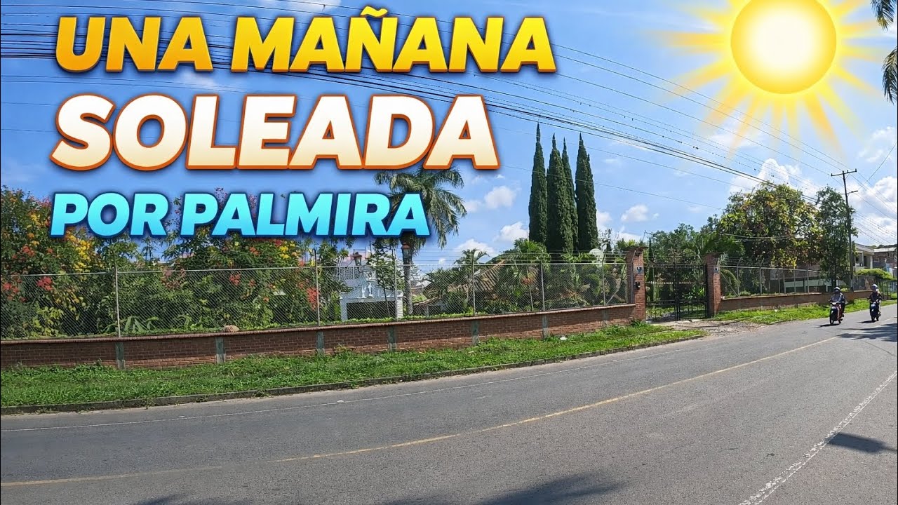 Una mañana soleada por Palmira valle 