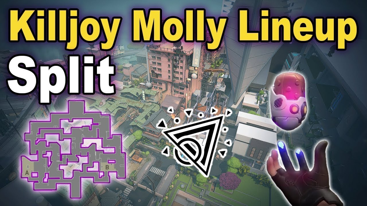 KILLJOY MOLLY LINEUP SPLIT..!!!