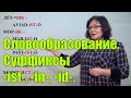 Урок №5. Словообразование. Суффиксы -ist-, -in-, -id-.