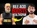 Exploring the Benefits of Lithocholic Acid (LCA)