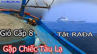 CÂU CÁ NGỪ ĐẠI DƯƠNG BIỂN HOÀNG SA 8║Chống Chọi Gió Cấp 8 Và Gặp Chiếc Tàu Lạ Tắt RADA.