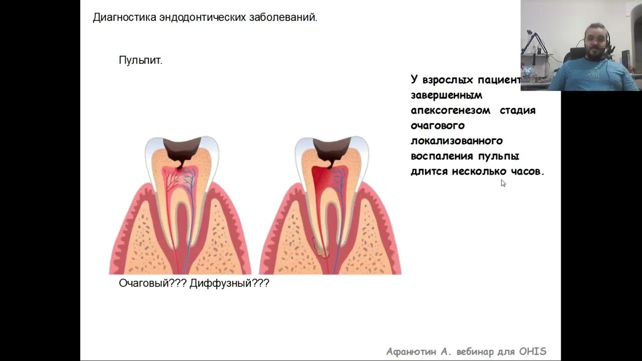 Вебинар №2 - Влияние анатомии на клинические аспекты работы врача.