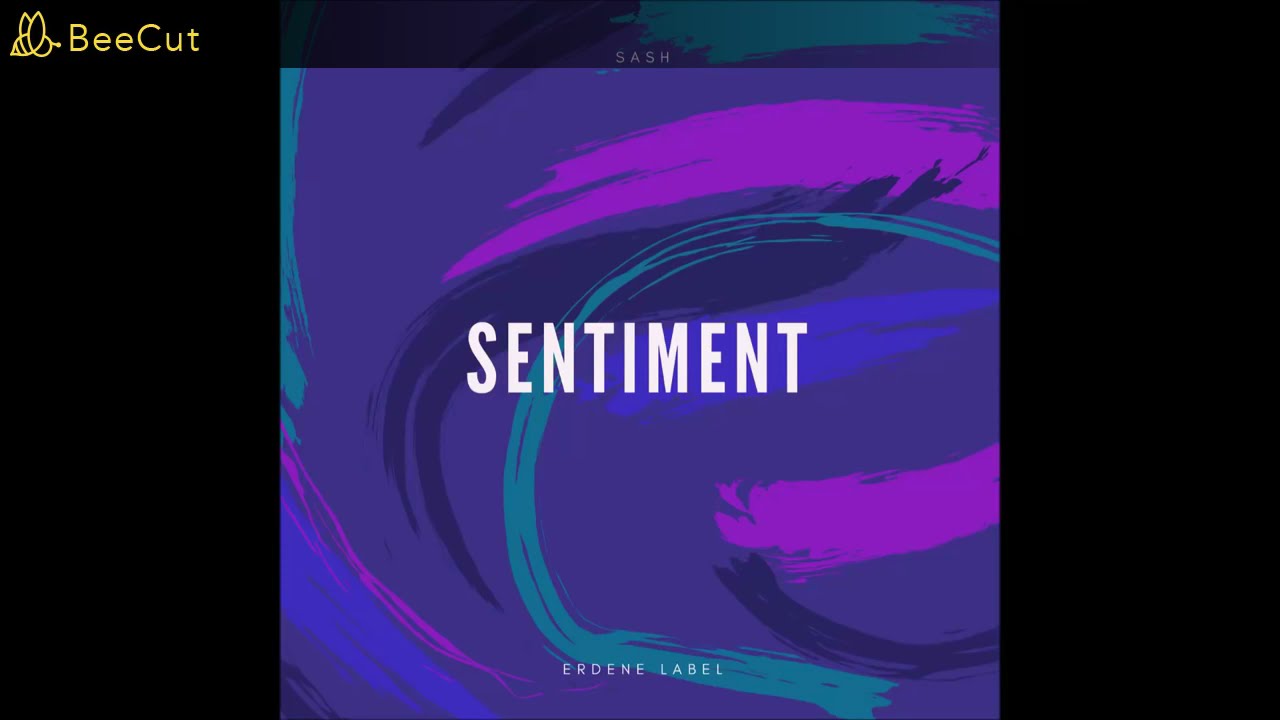 sash.Sentiment lyrics YouTube