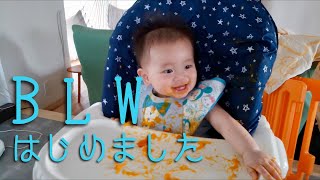 BLWはじめました   赤ちゃん主導の離乳食 にんじん かぼちゃ ブロッコリー BLW1 carrot pumpkin brock
