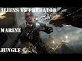 Aliens Vs Predator (2010) Marine Level 3: Jungle