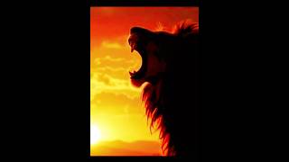 #shortvideo #lion #subscribe #animals #pterosaurus #viralvideo