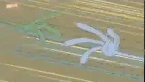 (CCS) Outlaws of Love (Candy/Gorgious)